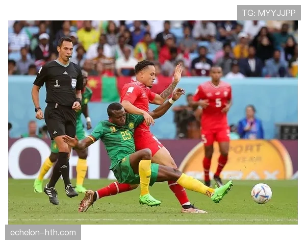 瑞士2026世界杯阵容初步揭晓，老将迎来最后一舞，新星表现值得关注